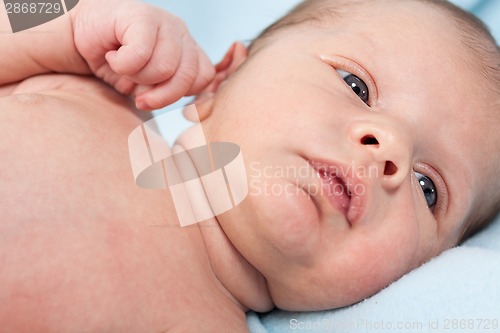 Image of Small baby lying in fur