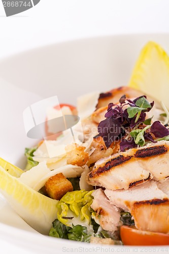 Image of tasty fresh caesar salad with grilled chicken and parmesan 