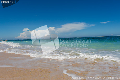 Image of Beautiful tropical beach with lush vegetation