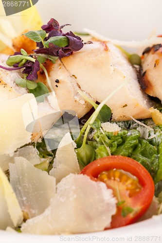 Image of tasty fresh caesar salad with grilled chicken and parmesan 