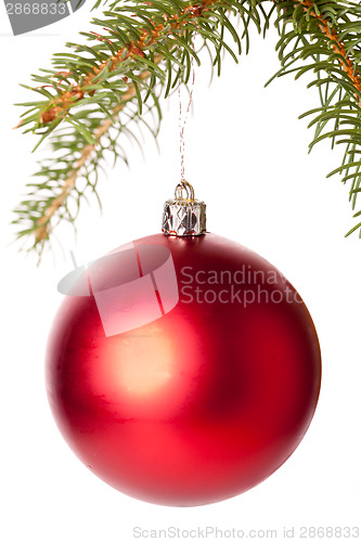 Image of Christmas ball hanging from a branch of a fir tree