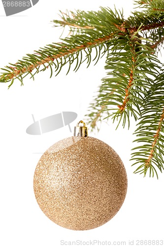 Image of Christmas ball hanging from a branch of a fir tree