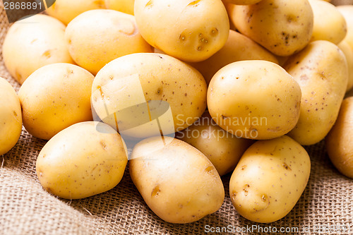 Image of Farm fresh  potatoes on a hessian sack