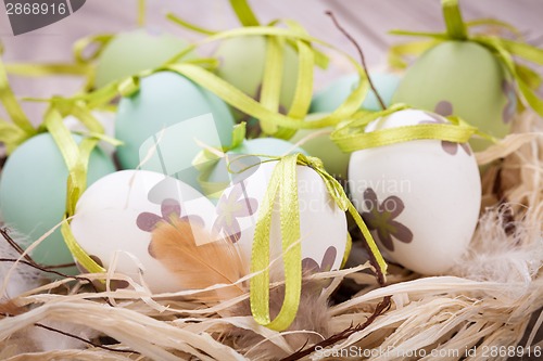 Image of Colourful green Easter eggs in straw