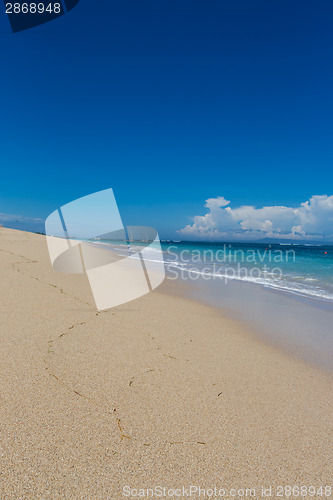 Image of Beautiful tropical beach with lush vegetation