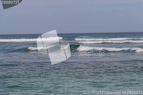 Image of Beautiful tropical beach with lush vegetation