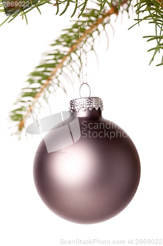 Image of Christmas ball hanging from a branch of a fir tree