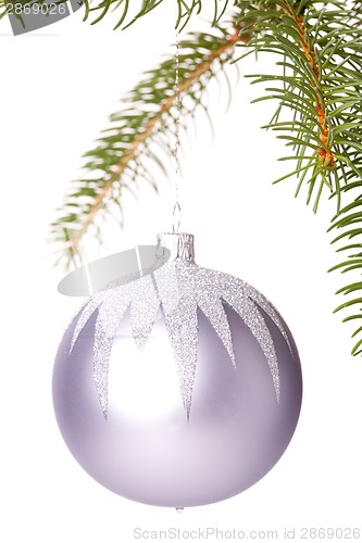 Image of Christmas ball hanging from a branch of a fir tree