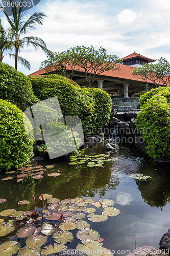 Image of Person swimming in a pool in Bali