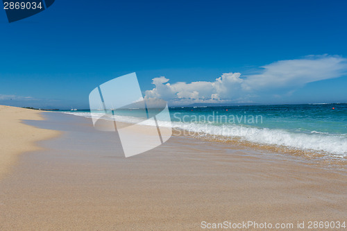 Image of Beautiful tropical beach with lush vegetation