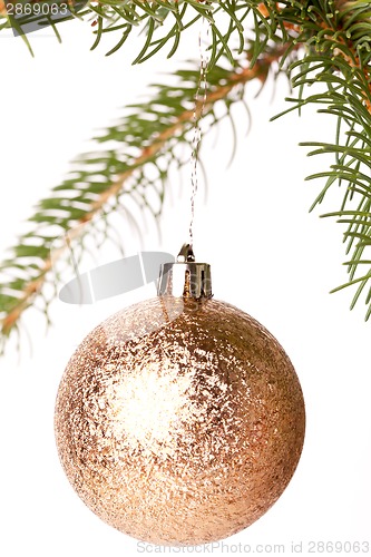 Image of Christmas ball hanging from a branch of a fir tree