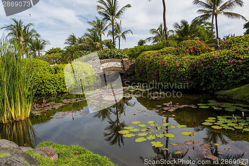 Image of Person swimming in a pool in Bali