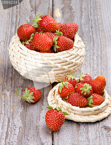 Image of Forest Strawberries