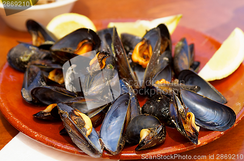 Image of Boiled Mussels