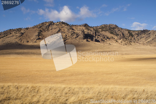 Image of Beautiful Landscape Western United States Idaho Grass Land