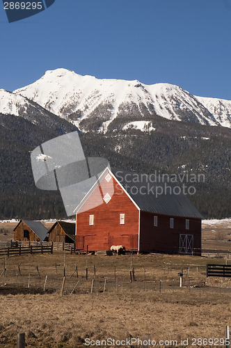 Image of Livestock Wind Break Horse Leaning Red Barn Mountain Ranch