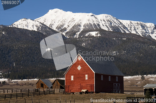 Image of Livestock Wind Break Horse Leaning Red Barn Mountain Ranch