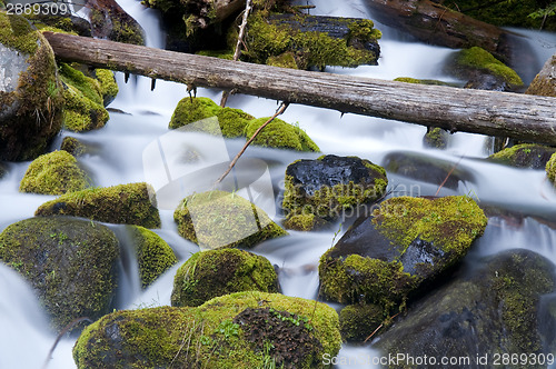 Image of Moss Filled Boulders Fill Stream as Water Rushes By