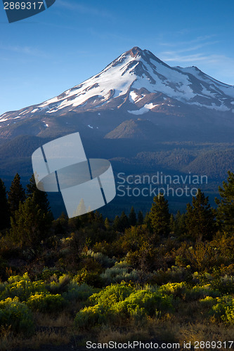 Image of Mount Shasta Vertical Cascade Range West Coast