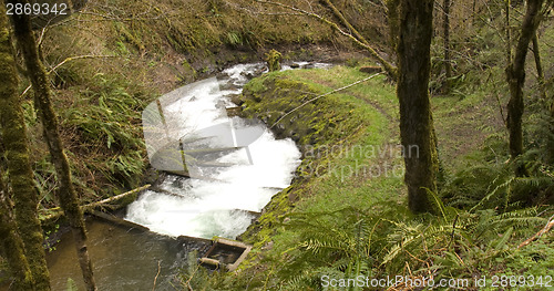 Image of Fish Ladder