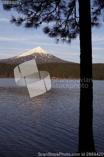 Image of Mt Mcgloughlin Willow Lake Pine Tree Oregon Rural Country