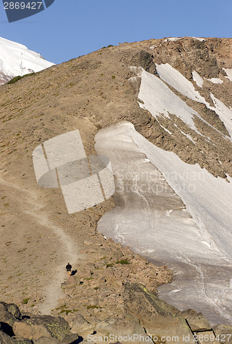 Image of Mt. Rainier National Park and Hiker Walking Trail