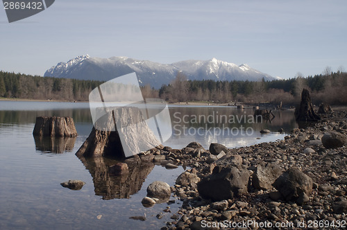 Image of Tree Stumps Rattlesnake Lake Mount SI North Cascade Mountains