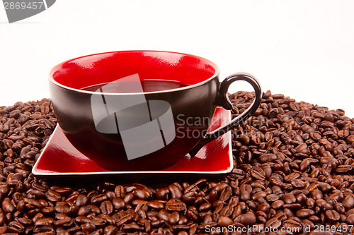 Image of Cup of Coffee in Pile of Coffee BEans