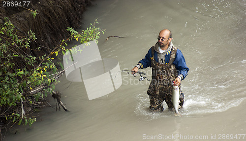 Image of Local Male Fisherman Pulls a Salmon out of Puyallup River 