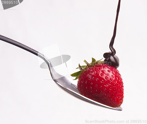 Image of Chocolate hits the Raw Fruit Food Berry on a Spoon