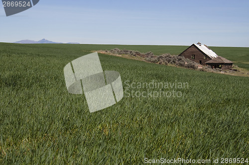 Image of Abandoned Farm House Ghost Homestead Remains Agricultural Field