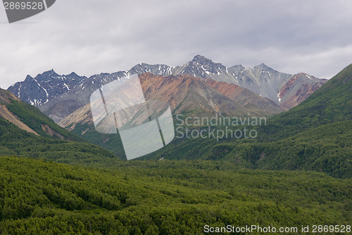 Image of Lush Landscape Alaskan Mountain Range