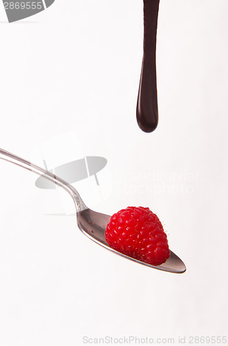 Image of Chocolate Sauce Falling Berries Rasberries on Silver Spoon