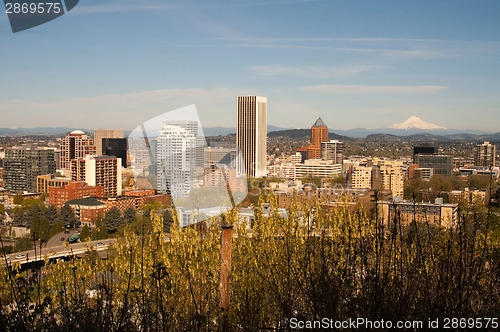 Image of Downtown Portland Oregon Mt Hood Landscape