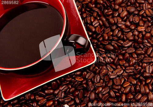 Image of Java in Cup and Saucer Sitting in Coffee Beans