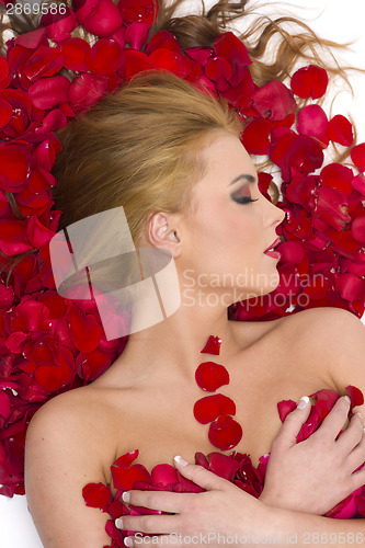 Image of Almost Nude Female in Red Rose Petals Floral Flowers