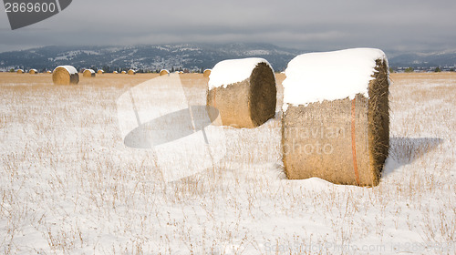 Image of Horizontal Snow Field Round Rolled Hay Bales