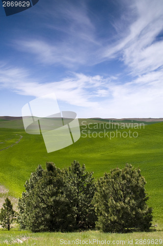 Image of Farmland