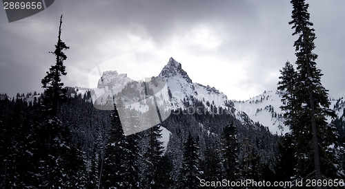 Image of Tatoosh Range