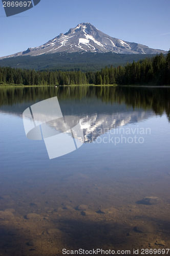 Image of Mountain Lake Trillium Mount Hood Oregon Wilderness