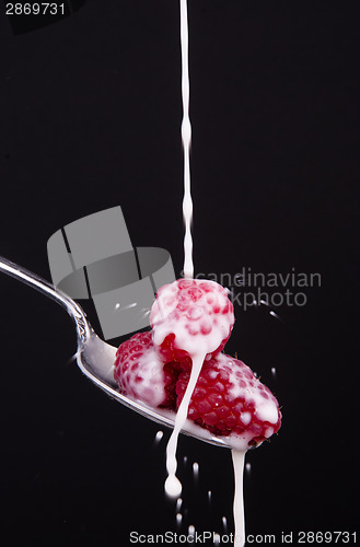 Image of Food Fruit Raspberries Have Milk Drop on Them While Sitting in S