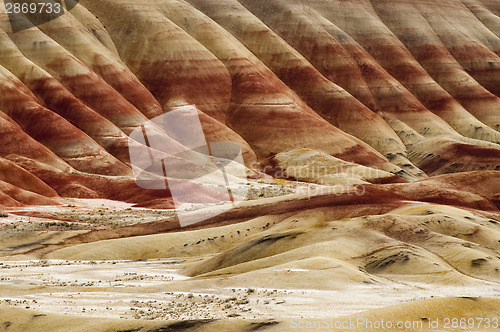 Image of The Geology in Painted Hills Oregon State