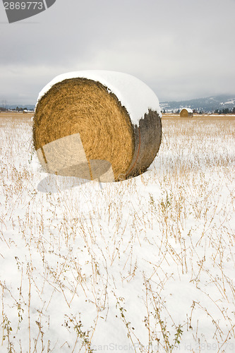 Image of Circular Hay Bale in Snow Covered Field