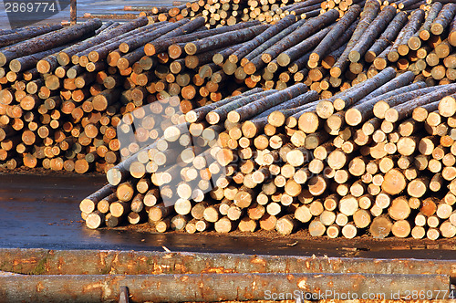 Image of Lumber Mill Log Pile Wood Waiting to be Processed