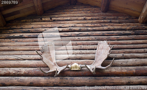 Image of Moose Antlers on the Arch of Alaskan Homestead House