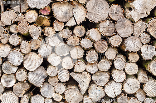 Image of wood in pile outdoor 