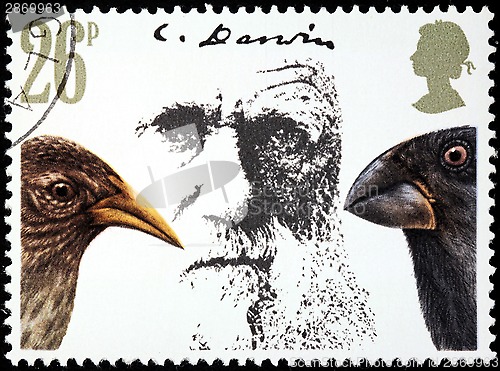 Image of Darwin Stamp