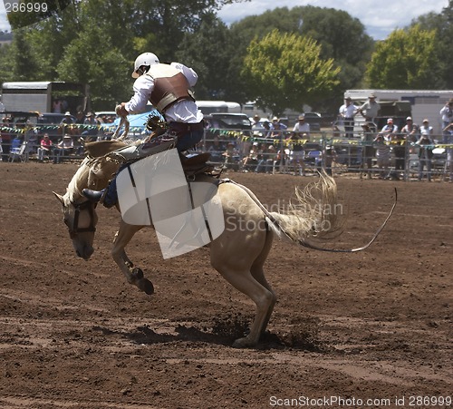 Image of Rodeo Rider