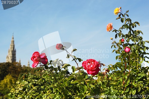 Image of Green park with flowers