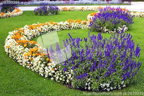 Image of flower garden background